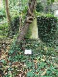 image of grave number 429273
